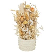 Atmosphera - Gesteck aus getrockneten Blumen - H25 -5 cm Beige von ATMOSPHERA