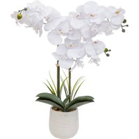 Atmosphera - Künstliche Orchidee im Blumentopf riva, 60 cm von ATMOSPHERA