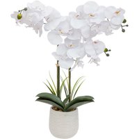 Atmosphera - Künstlich Orchidee Riva Weiß von ATMOSPHERA