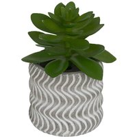 Künstliche Pflanze Kleinformat Ubi H7cm - Künstliche Pflanze Kleinformat Ubi H7cm - von ATMOSPHERA