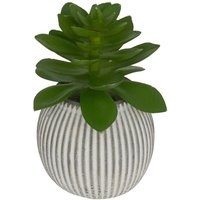 Künstliche Pflanze Kleinformat Ubi H7cm - Künstliche Pflanze Kleinformat Ubi H7cm - von ATMOSPHERA