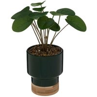 Atmosphera - Künstliche Pflanze Topf aus Keramik & Bambus - H.26 cm Dunkelgrün von ATMOSPHERA