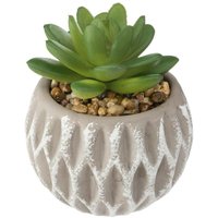 Künstliche Sukkulente Zementtopf H9cm - Oval Künstliche Sukkulente Zementtopf H9cm - Oval von ATMOSPHERA