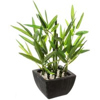 Atmosphera - Künstliche Dekopflanze bambus, 26 cm, schwarzer Topf von ATMOSPHERA