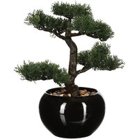 Atmosphera - Künstlicher Bonsai-Baum, exotische Blume in einer anderen Form ideal für Büro von ATMOSPHERA