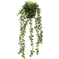 Künstlicher Eukalyptus im Topf Merly grün H51cm - Dunkelgrün Künstlicher Eukalyptus im Topf Merly grün H51cm - Dunkelgrün von ATMOSPHERA