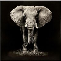 Kunstdruck Elefant 100 × 100 cm - Atmosphera - Schwarz und weiß von ATMOSPHERA