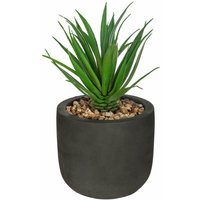 Atmosphera - Kunstpflanze, Dekopflanze sukkulente, 20 cm, schwarzer Topf von ATMOSPHERA