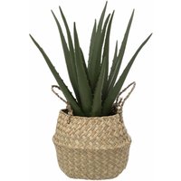 Kunstpflanze ALOE im Korb, 37 cm von ATMOSPHERA