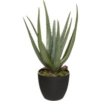 Atmosphera - Kunstpflanze Aloe real touch, h. 44 cm von ATMOSPHERA