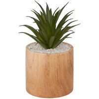 Kunstpflanze Sao braun H17cm - Atmosphera créateur d'intérieur von ATMOSPHERA