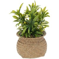Atmosphera - Künstliche Pflanze Schilfrohrtopf - H.20 cm créateur d'intérieur von ATMOSPHERA