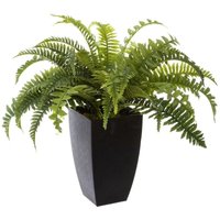 Atmosphera - Kunstpflanze im schwarzem Übertopf, h. 55 cm, Kunstfarn Atmosphera - Kunstpflanze im schwarzem Übertopf, h. 55 cm, Kunstfarn von ATMOSPHERA