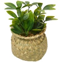 Pflanze topf nat jil ass H18BOX - von ATMOSPHERA