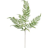 Atmosphera - Stängel künstlicher Farn James Grün H90cm créateur d'intérieur Atmosphera - Stängel künstlicher Farn James Grün H90cm créateur d'intérieur von ATMOSPHERA