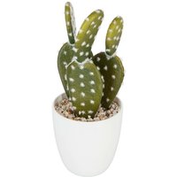 Sukkulente & Kaktuspflanze H18cm - Model 1 von ATMOSPHERA