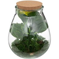 Atmosphera - Terrarium Bota Glas - H29 -5 cm Grün von ATMOSPHERA