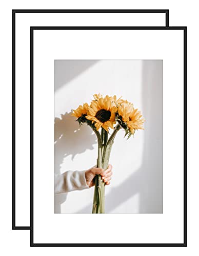 Aluminium-Bilderrahmen Größe in A2 (42 x 59,4 cm) ohne Matte und A3 (29,7 x 42 cm) mit Matte Plexiglasfront zur Wandmontage in Wohnzimmer, Schlafzimmer, Galerie, 2er-Set von ATOBART