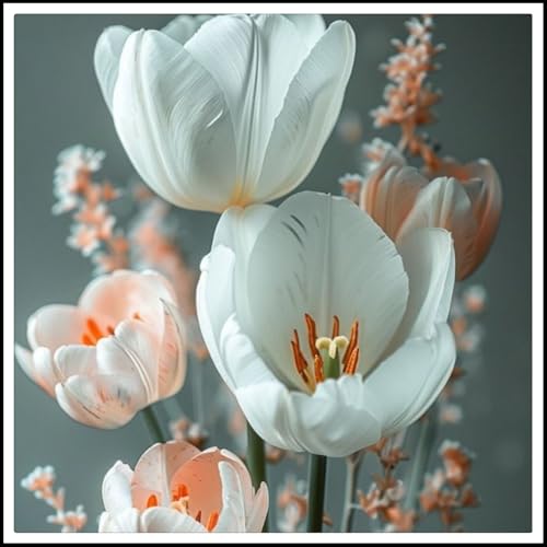 Tulpen-Rhizome, Gartenbau, intensiver Duft, geeignet für Balkon und Innengärten-15 Rhizome-G Tulpen-Rhizome, Gartenbau, intensiver Duft, geeignet für Balkon und Innengärten-15 Rhizome-G von ATRHBF