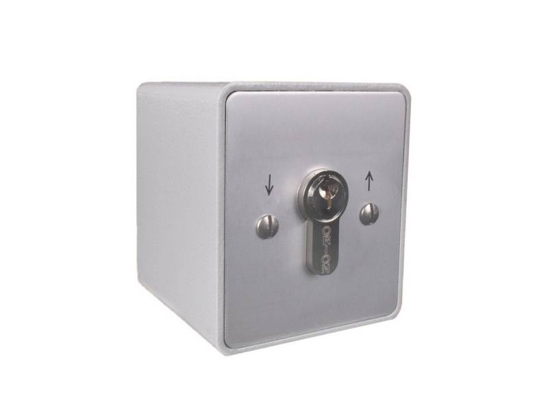 ATTAS Schalter Schlüsselschalter rastend APB Aufputz (Wahlweise mit gleichschließenden oder verschiedenschließenden Zylindern, Wahlweise 1 oder 2 Schaltelemente), Schlüsselschalter, Aufputzeinbau von ATTAS