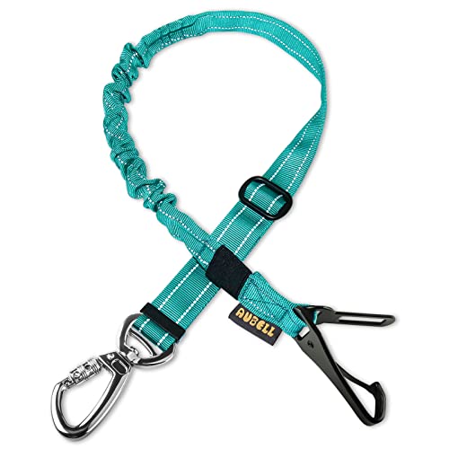 AUBELL Anschnallgurt Hund Auto,Einstellbar Haustier Auto sicherheitsgurt für Hunde, Bungee Hunde Anschnallgurt Geschirr Tether mit Clip Haken-Verschluss & Schnalle, Swivel Karabiner,Türkise von AUBELL