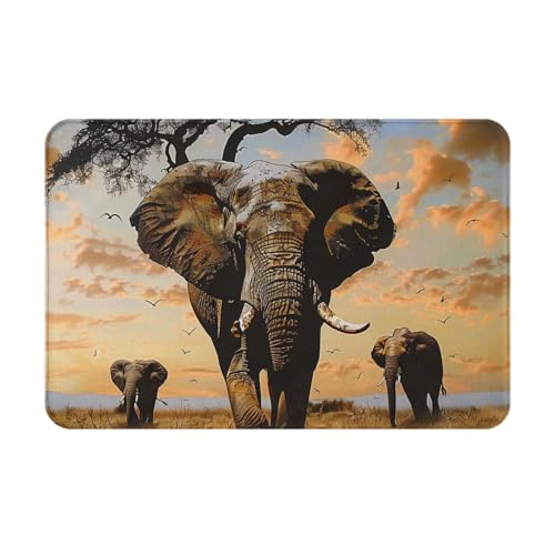 AUBKFELD Fußmatte mit afrikanischem Elefantenmotiv, 60 x 40 cm, Flanell, rutschfeste Bodenmatte, Fußmatten für Hauseingänge und haustierfreundliche Räume AUBKFELD Fußmatte mit afrikanischem Elefantenmotiv, 60 x 40 cm, Flanell, rutschfeste Bodenmatte, Fußmatten für Hauseingänge und haustierfreundliche Räume von AUBKFELD
