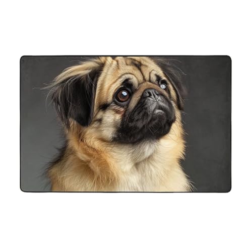AUBKFELD Teppich, Motiv: niedlicher Mops, waschbar, 100 x 150 cm, moderner Teppich, Flanell, rutschfeste Bodenmatte für Küche, Schlafzimmer, Wohnzimmer, Flur, Heimdekoration AUBKFELD Teppich, Motiv: niedlicher Mops, waschbar, 100 x 150 cm, moderner Teppich, Flanell, rutschfeste Bodenmatte für Küche, Schlafzimmer, Wohnzimmer, Flur, Heimdekoration von AUBKFELD