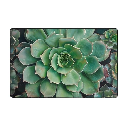 AUBKFELD Teppich mit grünem Sukkulenten-Druck, waschbar, 100 x 150 cm, moderner Teppich, Flanell, rutschfeste Bodenmatte für Küche, Schlafzimmer, Wohnzimmer, Flur, Heimdekoration AUBKFELD Teppich mit grünem Sukkulenten-Druck, waschbar, 100 x 150 cm, moderner Teppich, Flanell, rutschfeste Bodenmatte für Küche, Schlafzimmer, Wohnzimmer, Flur, Heimdekoration von AUBKFELD