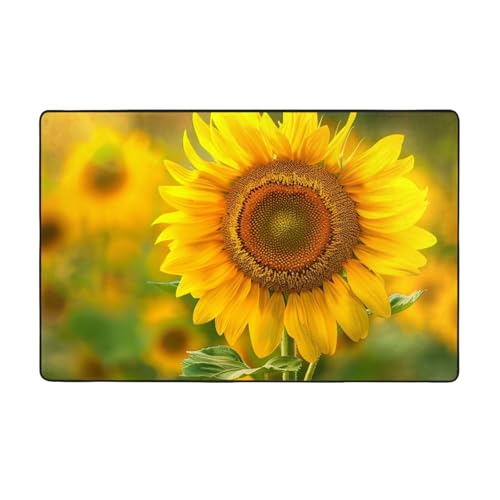 AUBKFELD Waschbarer Teppich, Motiv: helle Sonnenblumen, 100 x 150 cm, moderne Teppiche, Flanell, rutschfeste Bodenmatte für Küche, Schlafzimmer, Wohnzimmer, Flur, Heimdekoration AUBKFELD Waschbarer Teppich, Motiv: helle Sonnenblumen, 100 x 150 cm, moderne Teppiche, Flanell, rutschfeste Bodenmatte für Küche, Schlafzimmer, Wohnzimmer, Flur, Heimdekoration von AUBKFELD
