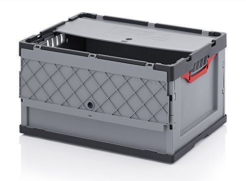 Auer Packaging 2x Profi-Faltbox 60 x 40 x 32 mit Deckel inkl. gratis Zollstock 2er Set 60x40x32 Eurobehälter klappbar Auer Packaging 2x Profi-Faltbox 60 x 40 x 32 mit Deckel inkl. gratis Zollstock 2er Set 60x40x32 Eurobehälter klappbar von Auer Packaging