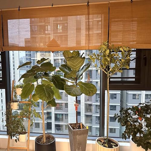Natürliche Bambusrollo Holzrollo Jalousie,Bambus Verdunkelungsrollos Lichtfilternde Rollo Bambus Sonnenschutz Für Teehaus/Restaurant,anpassbar Natürliche Bambusrollo Holzrollo Jalousie,Bambus Verdunkelungsrollos Lichtfilternde Rollo Bambus Sonnenschutz Für Teehaus/Restaurant,anpassbar von AUJLKJOUV