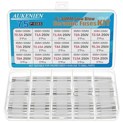 AUKENIEN 6x30MM Träge Keramik Sicherungen 15 Wert T 0,5A 1A 1,6A 2A 2,5A 3A 3,15A 4A 5A 6,3A 8A 10A 12A 15A 20A 250V Traege Keramiksicherungen Sortiment Kit von AUKENIEN