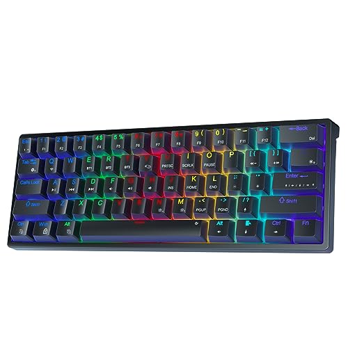 AULA F3261 Mechanische Tastatur Gaming,Gaming Tastatur 60 Prozent Tastatur Kabel Gaming Tastatur Klein,RGB PC Tastatur für Computer/Tablet/PS/Xbox,QWERTY,Roten Schaltern-Schwarz AULA F3261 Mechanische Tastatur Gaming,Gaming Tastatur 60 Prozent Tastatur Kabel Gaming Tastatur Klein,RGB PC Tastatur für Computer/Tablet/PS/Xbox,QWERTY,Roten Schaltern-Schwarz von AULA