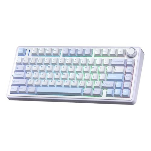AULA F75 Mechanische RGB TKL Gray Switch Wireless Makrol Hot Swap Tastatur Eisblau von AULA