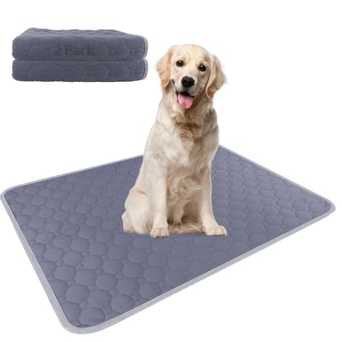 AUMAYCO 70 x 100cm Waschbar Welpen Unterlagen, 2er Wiederverwendbare PIPI Matten für Hunde, Schnell Absorbierend Welpenunterlagen, Puppy Pads, Auslaufsicher, rutschfest, Schnell Trocknende AUMAYCO 70 x 100cm Waschbar Welpen Unterlagen, 2er Wiederverwendbare PIPI Matten für Hunde, Schnell Absorbierend Welpenunterlagen, Puppy Pads, Auslaufsicher, rutschfest, Schnell Trocknende von AUMAYCO