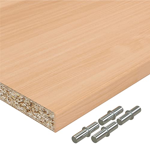AUPROTEC Einlegeboden Regalboden 19 mm Holz Zuschnitt nach Maß Größe bis max 1000 mm breit x 800 mm tief Dekorplatte mit Umleimer ABS Kante: Farbe Buche von AUPROTEC