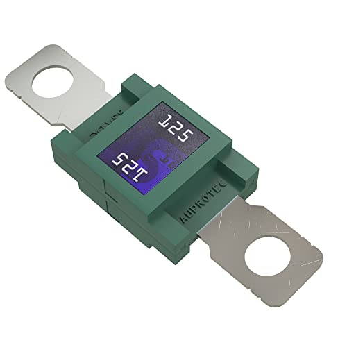 AUPROTEC Mega Hochstromsicherung Schraubsicherung 80A - 500A Auswahl: 125A Ampere grün, 1 Stück von AUPROTEC