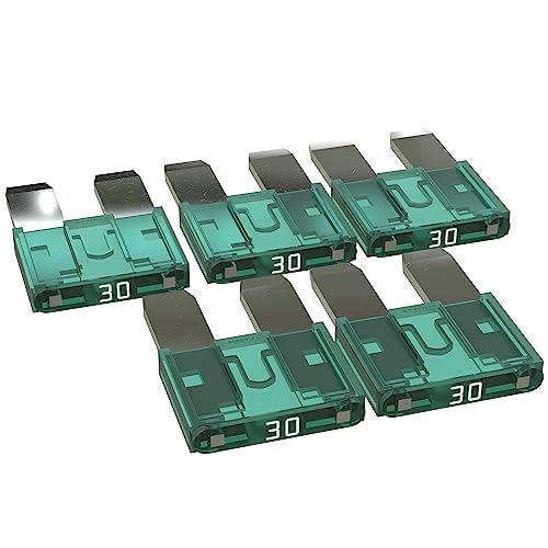 AUPROTEC Mini Flachstecksicherung 2A - 30A Stecksicherung Schmelzsicherung Auswahl: 30A Ampere grün, 5 Stück von AUPROTEC