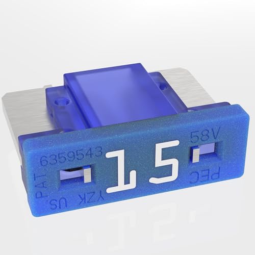 AUPROTEC Mini LP Kfz Sicherungen Flachstecksicherungen 2A - 30A Auswahl: 15A Ampere blau, 50 Stück AUPROTEC Mini LP Kfz Sicherungen Flachstecksicherungen 2A - 30A Auswahl: 15A Ampere blau, 50 Stück von AUPROTEC