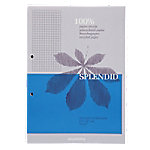 AURORA Splendid Notizblock DIN A4 Kariert Geleimt Papier Farbig sortiert Perforiert Recycled 200 Seiten von AURORA