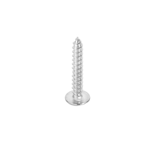Selbstschneidende Schraube 50 Stück Vierkantschrauben for Edelstahlzäune(Stainless L25mm50pcs) von AURVIX