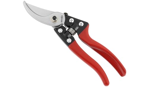 AUSONIA - 31077 BAUMSCHNITTSCHERE REBSCHERE FÜR LINKSHÄNDER REBENSCHERE BAUMSCHERE 20 CM AUCH FÜR LINKSHÄNDER von AUSONIA