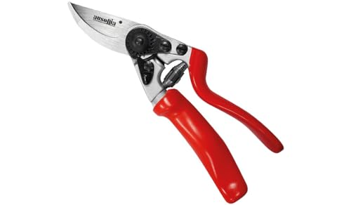 AUSONIA - 31078 PROFI-BAUMSCHNITTSCHERE REBSCHERE REBENSCHERE GARTENSCHERE 21 CM MIT DREHGRIFF AUSONIA - 31078 PROFI-BAUMSCHNITTSCHERE REBSCHERE REBENSCHERE GARTENSCHERE 21 CM MIT DREHGRIFF von AUSONIA