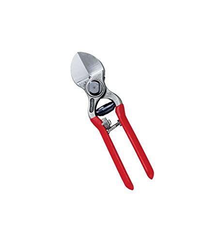 AUSONIA - 31110 PROFI-BAUMSCHERE FÜR OBSTBÄUME ZWEISCHNEIDIG MIT GEHÄRTETEN KLINGEN AUS HEISS GESCHMIEDETEM STAHL, KUNSTSTOFFBESCHICHTETE GRIFFE UND ROLL-SICHERHEITSVERSCHLUSS UND FESTE SCHRAUBE 21 CM AUSONIA - 31110 PROFI-BAUMSCHERE FÜR OBSTBÄUME ZWEISCHNEIDIG MIT GEHÄRTETEN KLINGEN AUS HEISS GESCHMIEDETEM STAHL, KUNSTSTOFFBESCHICHTETE GRIFFE UND ROLL-SICHERHEITSVERSCHLUSS UND FESTE SCHRAUBE 21 CM von AUSONIA