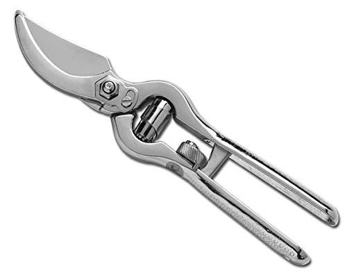 AUSONIA - 31164 PROFI-GARTENSCHERE BAUMSCHERE GESCHMIEDET MIT GLÄNZEND VERNICKELTER GEGENKLINGE UND ROLL-SICHERHEITSVERSCHLUSS, IDEAL FÜR BESCHNITT UND GARTENARBEIT 19 CM von AUSONIA