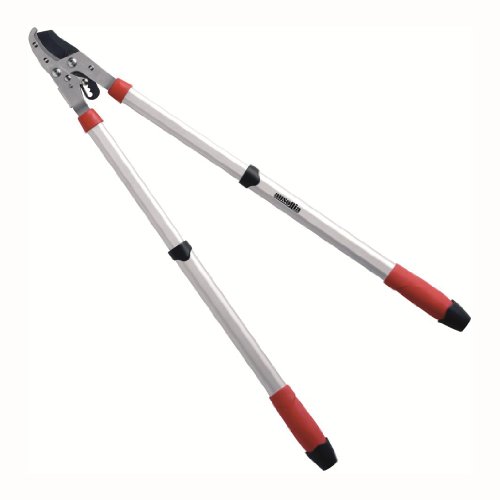 AUSONIA - 35081 TELESKOP ASTSCHERE BAUMSCHERE MIT TEFLON BESCHICHTETER GEGENKLINGE AUSZIEHBAR VON 68 AUF 100 CM MIT GUMMIGRIFF AUSONIA - 35081 TELESKOP ASTSCHERE BAUMSCHERE MIT TEFLON BESCHICHTETER GEGENKLINGE AUSZIEHBAR VON 68 AUF 100 CM MIT GUMMIGRIFF von AUSONIA