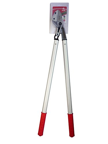 AUSONIA - 35088 PROFI ASTSCHERE MIT GERADEM SCHNITT 100 CM, GEWICHT 1520 GRAMM, MIT GESCHMIEDETER KLINGE, RAHMENGRIFF AUS VERSTÄRKTEM ALUMINIUM UND KUNSTSTOFFGRIFF, SCHNITTKAPAZITÄT MAXIMAL 35 MM AUSONIA - 35088 PROFI ASTSCHERE MIT GERADEM SCHNITT 100 CM, GEWICHT 1520 GRAMM, MIT GESCHMIEDETER KLINGE, RAHMENGRIFF AUS VERSTÄRKTEM ALUMINIUM UND KUNSTSTOFFGRIFF, SCHNITTKAPAZITÄT MAXIMAL 35 MM von AUSONIA