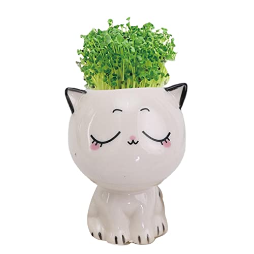 AUTOECHO Gartenblumentopf - Keramik Katzenform Blumen Sukkulenten Tischdekorationen | Indoor Outdoor Garden Animal Planters für Zuhause von AUTOECHO