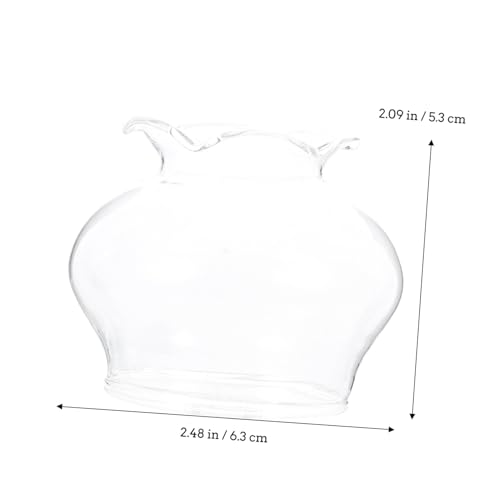 AUTSUPPL 2 Stück Lampenschirm Kerosin Lampenschirm Ersatz Winddicht Hitzebeständig Transparent Vintage Stil für Öllampen und Petroleumlampen AUTSUPPL 2 Stück Lampenschirm Kerosin Lampenschirm Ersatz Winddicht Hitzebeständig Transparent Vintage Stil für Öllampen und Petroleumlampen von AUTSUPPL