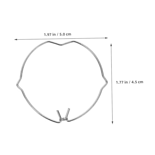 AUTSUPPL 6 Stück Teiliges Federklemmen für Lichttechnik Stabile Federclips zur Sicheren Befestigung von Spots und Lampen Rostbeständige Halterungen für Wohnbereich Büro und Gewerbe von AUTSUPPL
